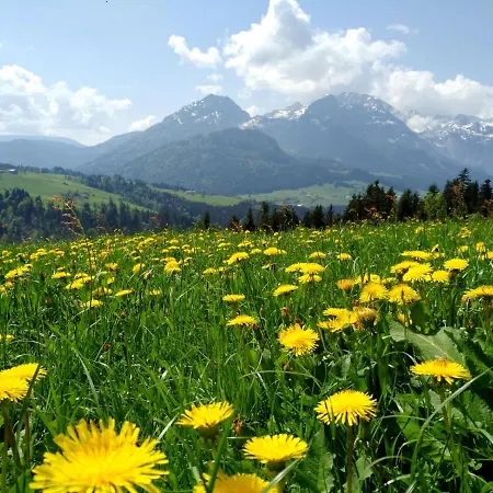 Lammerauhof Abtenau