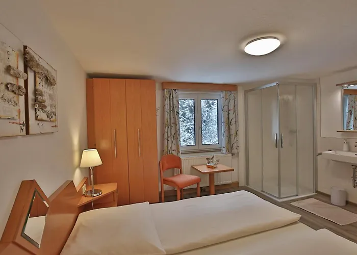 农家乐 拉梅雷霍夫旅馆 *